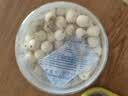 方家铺子六星莲子250g湘潭磨皮通芯白莲子去芯白莲枸杞桂圆银耳羹配料干货 实拍图
