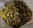 福东海特优胎菊250克 菊花茶桐乡头茬胎菊花无硫熏花茶搭枸杞决明子送礼 实拍图