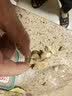WEYES冻干7拼混合桶500g宠物猫狗零食冻干鸡肉鸡胸肉鸭肉粒营养补充 实拍图