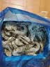 禧美海产鲜冻黑虎虾4斤 大规格21-25只/kg 超大单冻大虾 海鲜礼盒 实拍图