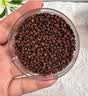 浙华药业【控糖减脂】大凉山特级黑苦荞茶降糖三高2026年新茶浓香养生茶 【26年当季新货 稳糖】1罐装 实拍图
