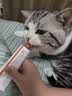红狗化毛膏猫咪专用排除毛球维生素添加鱼油膳食纤维毛球症温和58g 实拍图