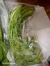 【火锅季】七鲜24小时香菜 100g 实拍图