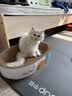 疯狂的主人猫抓板窝特大号猫玩具猫爪板猫抓盆不掉屑猫窝椭圆形瓦楞纸 实拍图