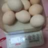 山林正宗自养鲜鸡蛋鲜鸡蛋新鲜鸡蛋现捡生鲜买菜单枚40g-45g 山林自养土鸡蛋10枚 实拍图