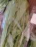七鲜24小时油麦菜300g 实拍图
