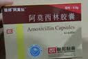 [阿莫仙] 阿莫西林胶囊0.5g*48粒/盒 实拍图