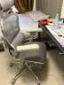 Ergonor保友金豪b雄鹰/悦动 人体工学椅电脑椅 电竞椅办公椅子可躺老板椅 银白(云感科技坐垫) 实拍图