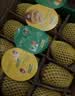 佳沛（zespri）新西兰金奇异果12粒特大果124-146g猕猴桃水果礼盒 实拍图