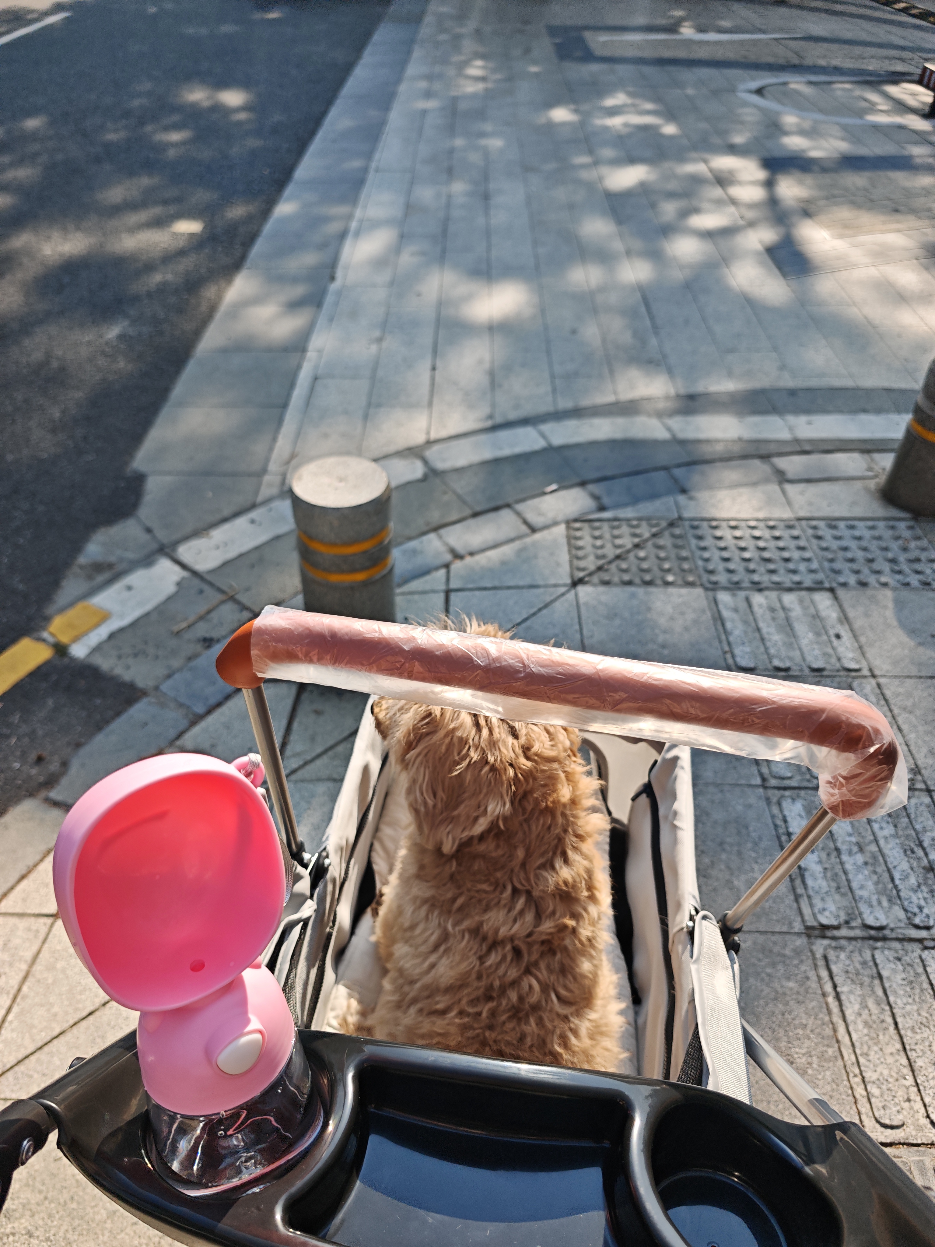 宠物推车狗狗猫咪犬轻便可折叠车包分离外出手推车遛狗小型老年犬 P6Y灰色（ 承重15kg）+餐盘 实拍图