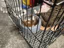 憨憨宠猫笼折叠猫笼子大号猫别墅加粗加密双层猫舍猫窝宠物猫咪用品家用 黑色 600双层 实拍图