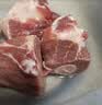 龙大肉食黑猪棒骨2斤 免切带骨髓猪筒骨猪大骨头≥30%带肉率 黑猪肉烧烤 实拍图