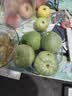 京鲜生 绿宝香瓜甜瓜  净重3斤起 3-6粒装 生鲜水果 实拍图