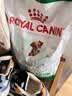 皇家狗粮 成犬狗粮 犬粮 宠物小型犬 PR27 全价犬粮≥10月2KG 实拍图