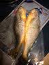 三都港 冷冻三去黄花鱼700g/2条装 新鲜大黄鱼生鲜鱼类 深海鱼 海鲜水产 实拍图