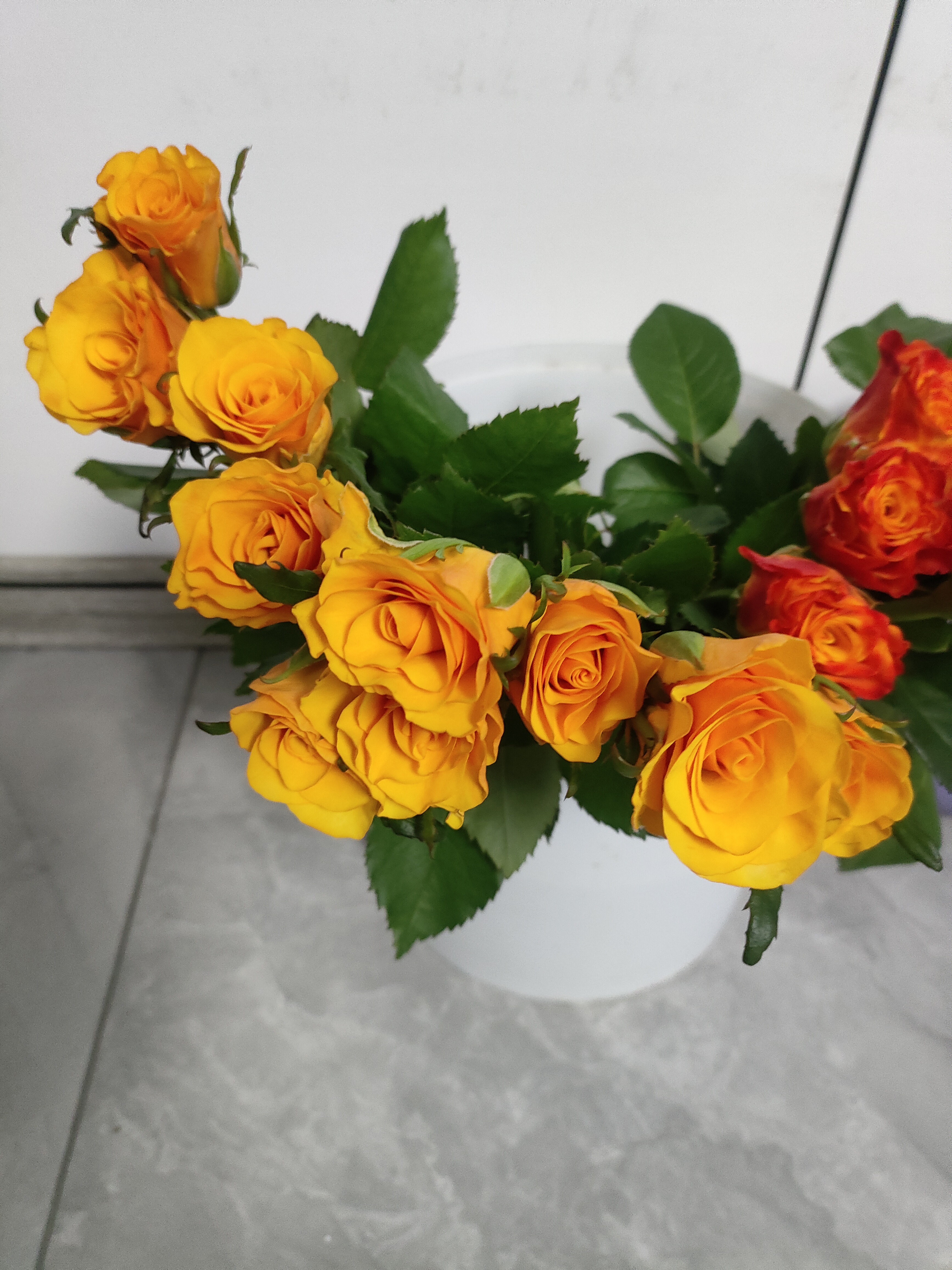 如意随机玫瑰20枝40cm(1-2配色)起鲜切花节日基地新鲜现采源头直发 实拍图