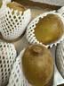佳沛（zespri）新西兰金奇异果10粒巨大果146-175g猕猴桃水果礼盒 实拍图