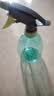 喷壶浇花浇水喷雾器气压式喷水壶家用园艺养花500ml 南瓜喷壶透蓝【1个装】 实拍图