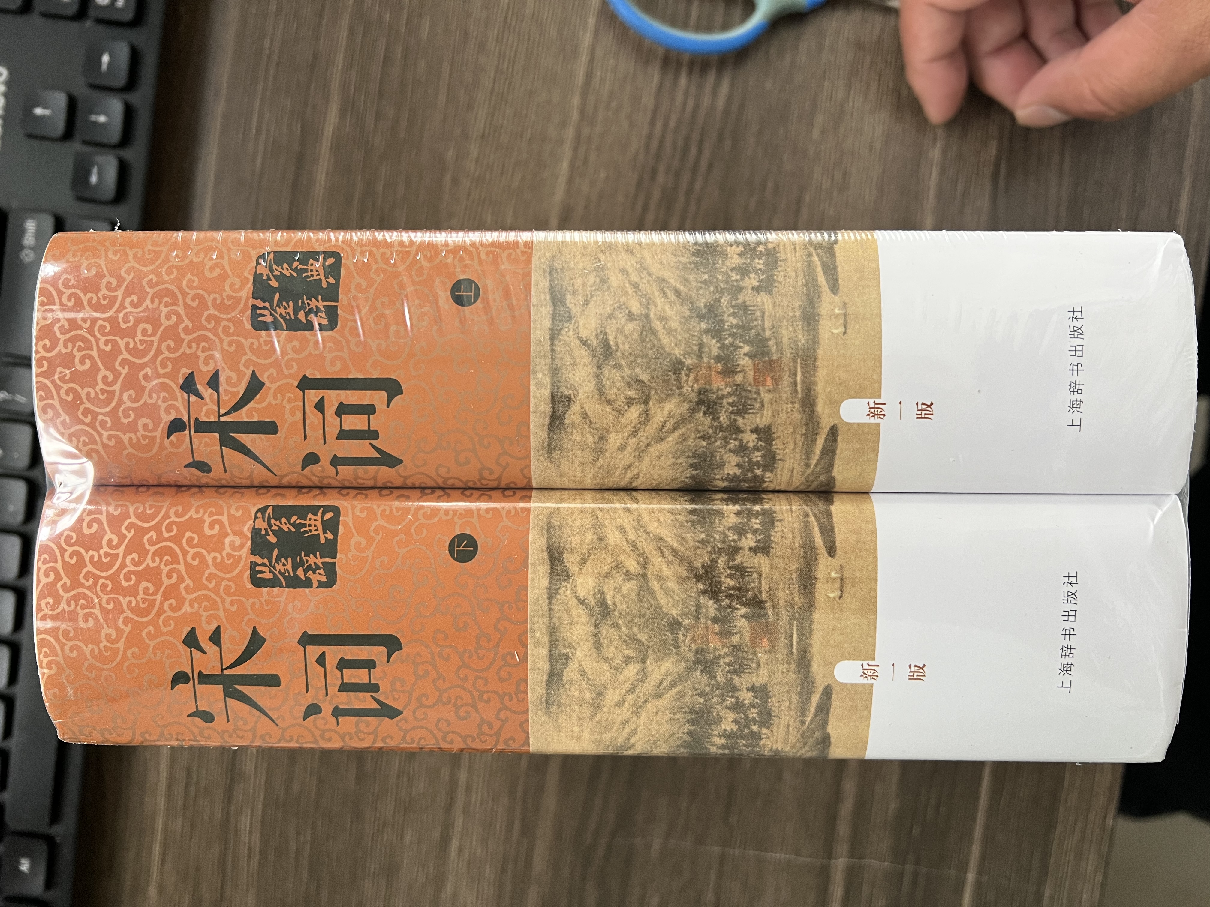 宋词鉴赏辞典（新一版 套装上下册） 宋词大全集 中学生文学鉴赏工具书 小说 实拍图