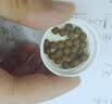 北京同仁堂 五子衍宗丸 60g*6盒装小黑丸子补肾益精肾虚精亏阳痿不育遗精早泄腰痛尿后余沥 补肾 实拍图