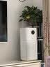 美的（Midea）【母婴级】空气净化器鼻炎家用除甲醛除烟味异味过敏原空气净化机森林家L1 Lite 实拍图