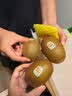 佳沛（zespri）新西兰金奇异果10粒巨大果146-175g猕猴桃水果礼盒 实拍图