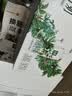 伊利【新鲜日期】金典有机纯牛奶250ml*20盒梦幻盖3.8g蛋白质 礼盒装 实拍图