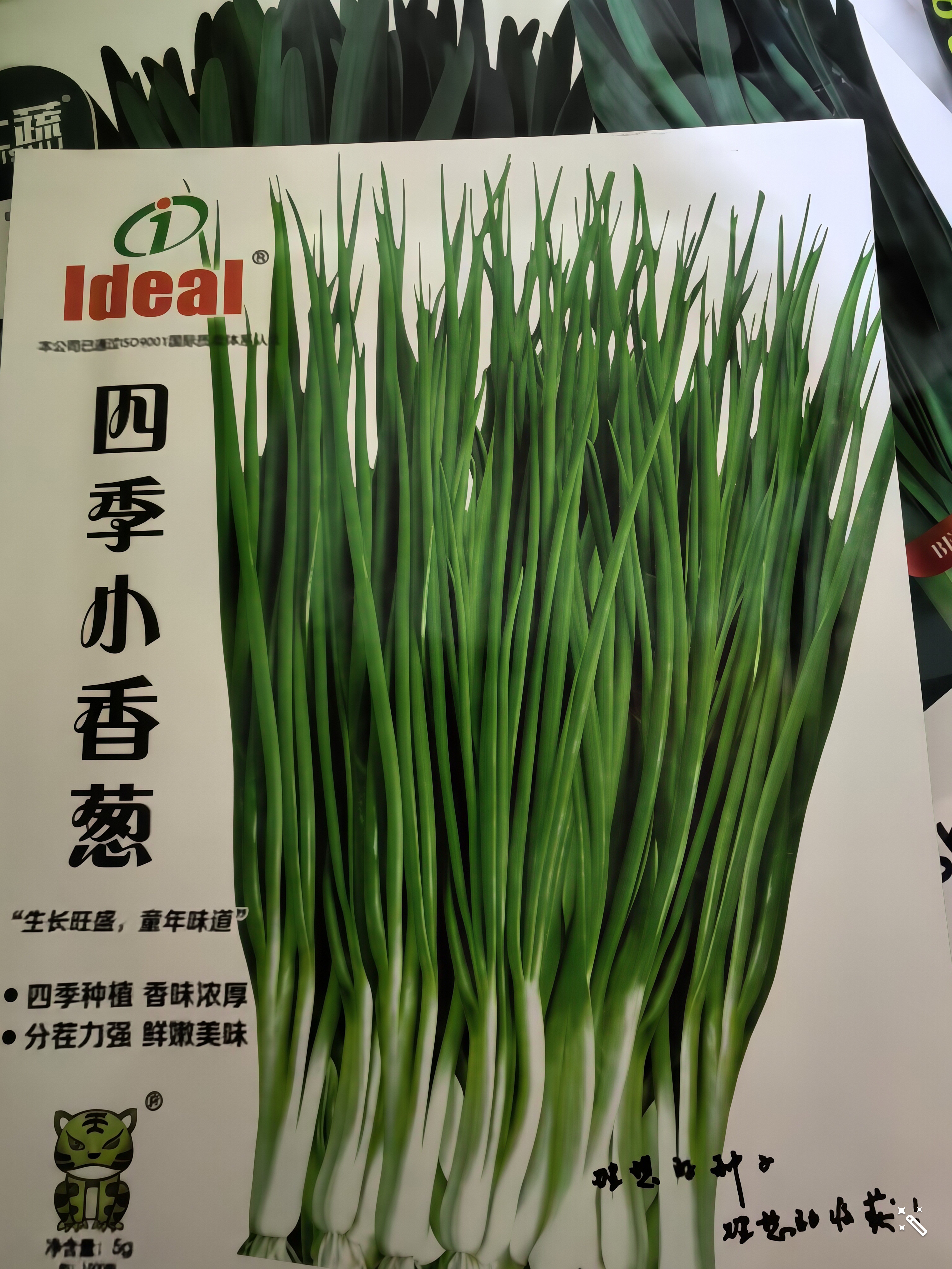 ldeal理想农业 四季小香葱种子阳台盆栽种植蔬菜种籽小葱种子 约1500粒 实拍图
