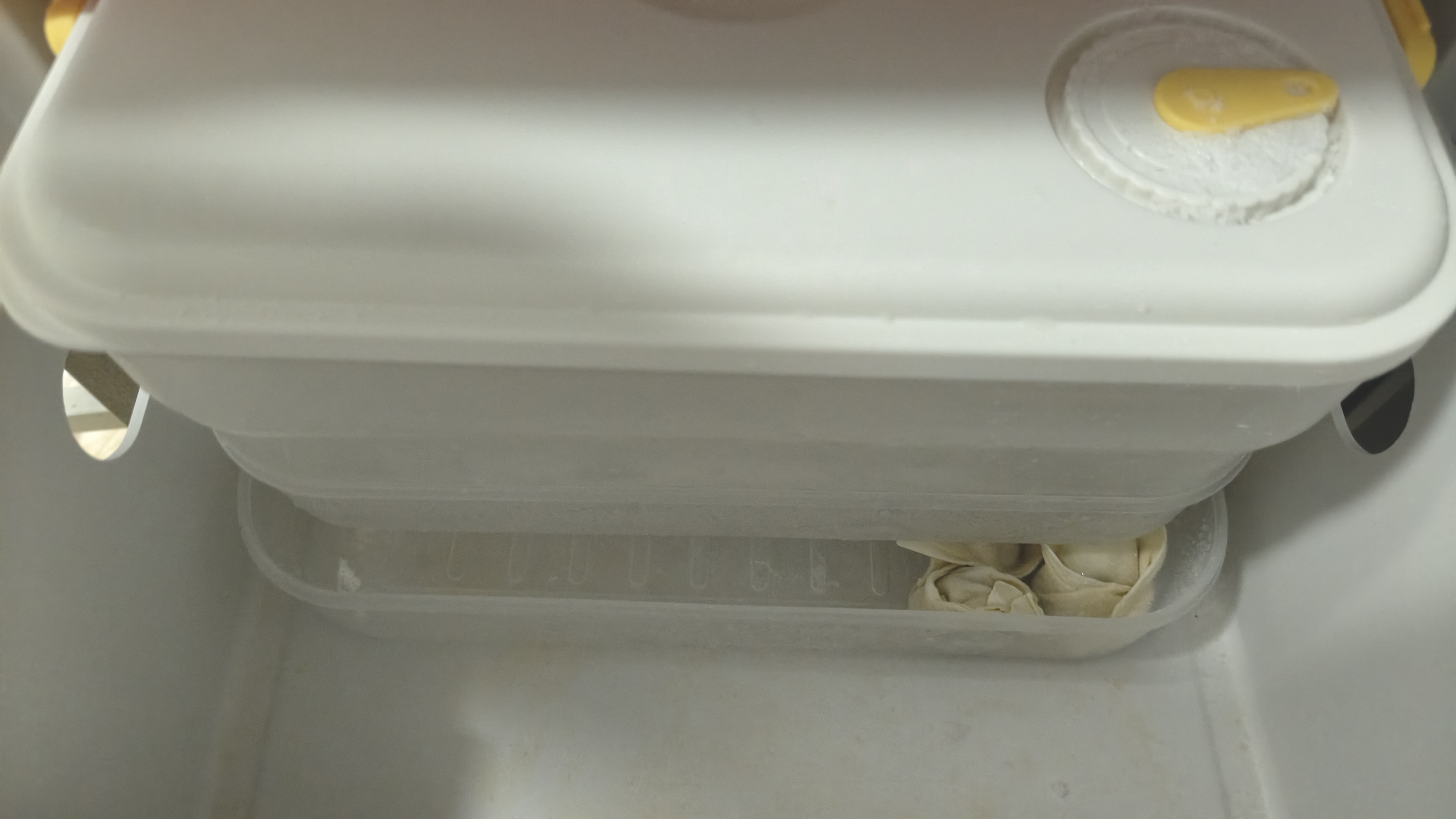 炊大皇 多功能饺子盒4层加大收纳盒冰箱保鲜盒食品级冷冻水饺馄饨盒白 实拍图
