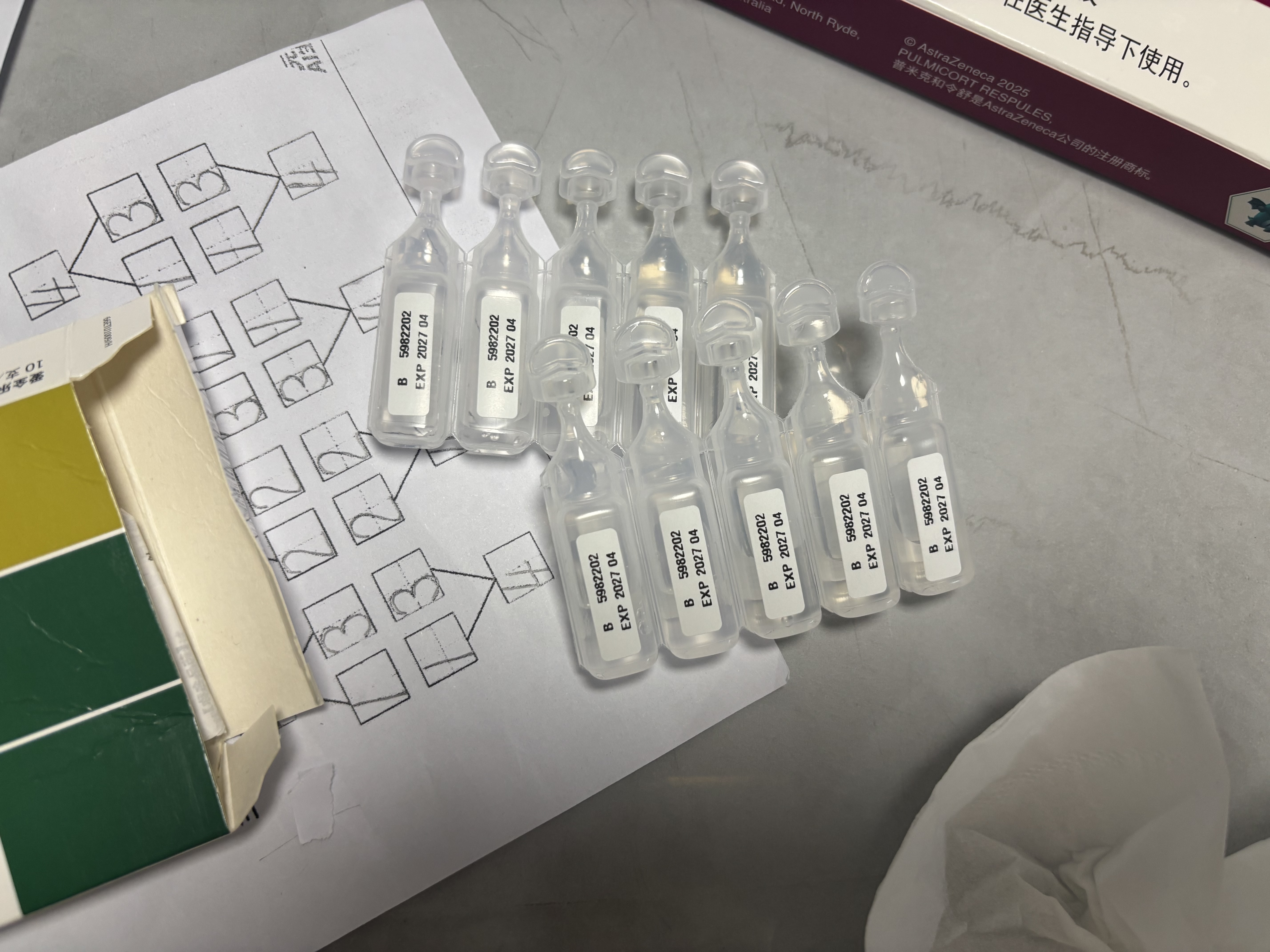 【原研进口】爱全乐 吸入用异丙托溴铵溶液 2ml:0.25mg*10支/盒   实拍图