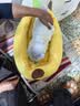 licheers猫狗窝冬季保暖小中大型犬四季通用宠物狗床猫窝睡觉垫子S码 实拍图