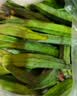 京鲜生【精选】云南无筋豆王 300g/份   新鲜蔬菜  源头直发包邮 实拍图