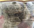 五芳斋 速冻豆沙粽 100g*5只 嘉兴粽子甜粽端午粽子早餐食品 实拍图