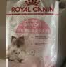 皇家猫粮 幼猫奶糕 幼猫猫粮 BK34 通用粮 1-4月 2KG 实拍图