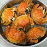 【活蟹】蟹宗鲜活大闸蟹公4.5-4.8两母4.0-4.3两4对8只生鲜螃蟹海鲜节日礼品源头直发 实拍图