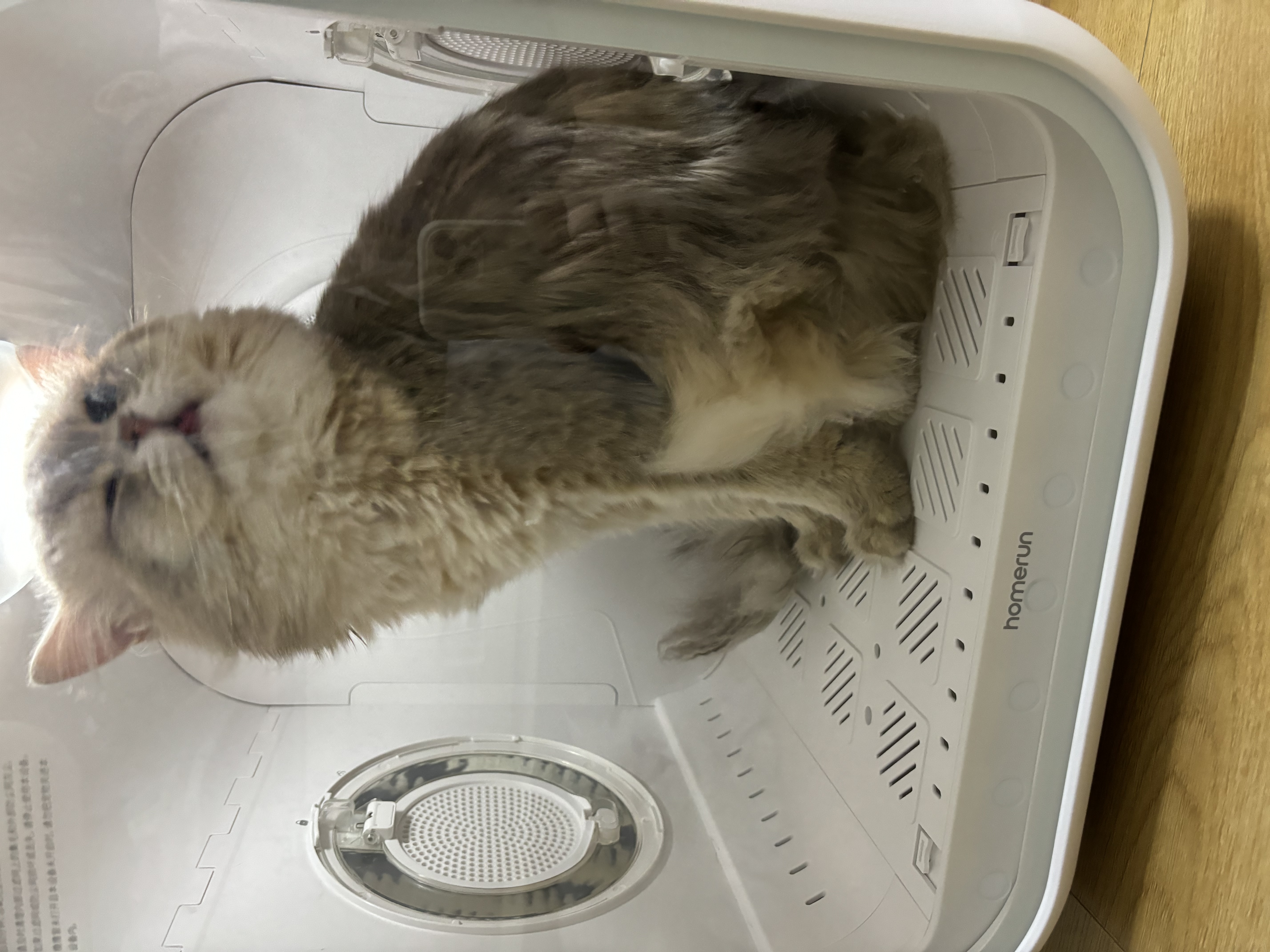 霍曼宠物烘干箱Pro 猫咪吹风机狗狗自动吹干箱底部出风快速烘干更安静 实拍图