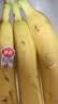 佳农 超甜香蕉800g 实拍图
