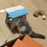 CFA赛级逗猫棒猫咪玩具长杆羽毛替换头耐抓咬猫玩具用品自嗨解闷 CFA赛级长杆逗猫棒-木杆弹簧款 实拍图