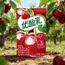 伊利【时代少年团同款】优酸乳车厘子味250ml*24盒 礼盒装 实拍图