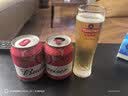 青岛啤酒（TsingTao）［肖战推荐］原浆13度1L*2礼盒 5L桶精酿鲜啤酒厂直发 聚会啤酒 7天原浆鲜啤 1L 2瓶 礼盒装 实拍图