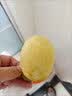 佳沛（zespri）新西兰 金奇异果特大果15粒134-146g猕猴桃水果礼盒 实拍图
