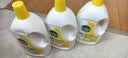 滴露（Dettol）衣物消毒液除菌柠檬3L*3 99.9%杀菌除螨内衣裤衣服消毒水 实拍图