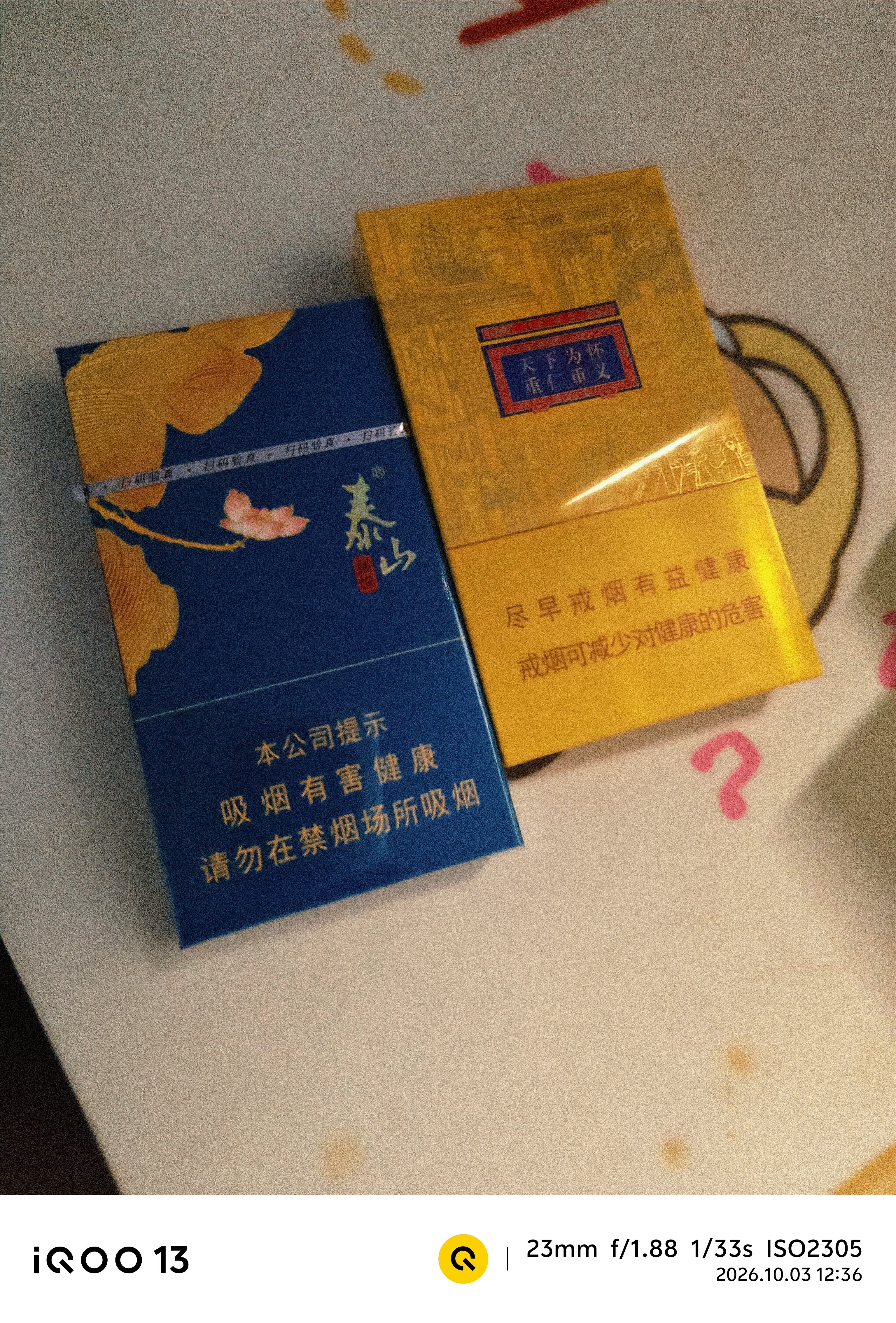 魔护卫 【不发黄PP壳】iQOO13超薄0.4mm手机壳磨砂透明镜头大孔全包防摔透白新款爱酷定制 超薄不发黄PP 透白 iQOO 13 实拍图