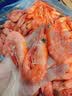 鲜生说熟冻腹籽北极甜虾 净重3斤 135-180只/盒 海鲜冰虾 实拍图