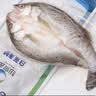 仙泉湖冷冻三去白蕉海鲈鱼700g/袋(2条装)肉厚刺少水产生鲜食材 实拍图