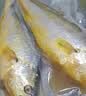 海名威 冷冻黄花鱼700g/2条装 宁德大黄鱼 海鱼 生鲜鱼类 海鲜水产 实拍图