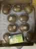 佳沛（zespri）新西兰金奇异果10粒巨大果146-175g猕猴桃水果礼盒 实拍图