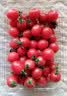 【水果菜】啵啵蜜小番茄1kg(红千禧小番茄） 实拍图