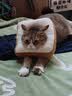 冠能猫粮成猫猫粮三文鱼味7kg 全价猫粮 稳固免疫 适口性强 实拍图
