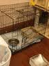 憨憨宠猫笼折叠猫笼子大号猫别墅加粗加密双层猫舍猫窝宠物猫咪用品家用 黑色 600双层 实拍图